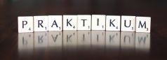 Praktikum 8er 9er.2026